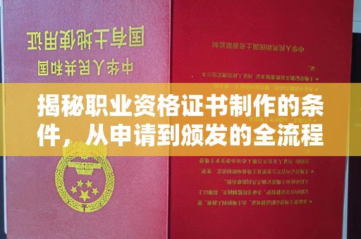 南阳揭秘职业资格证书制作的条件，从申请到颁发的全流程解析