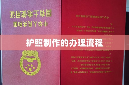 南阳护照制作的办理流程