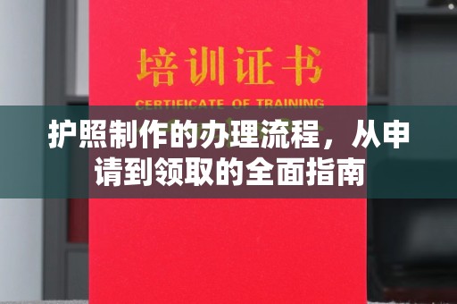 南阳护照制作的办理流程，从申请到领取的全面指南