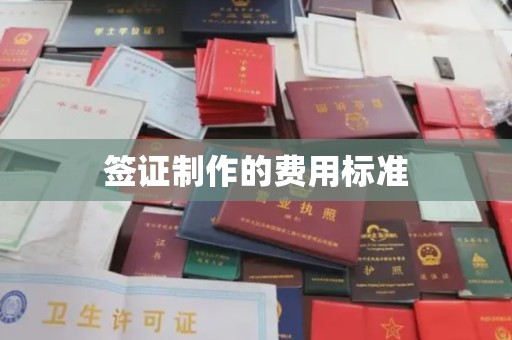 南阳签证制作的费用标准