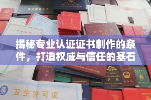 南阳揭秘专业认证证书制作的条件，打造权威与信任的基石