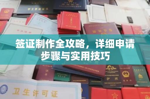 南阳签证制作全攻略，详细申请步骤与实用技巧